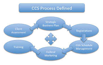 Overview of process of selling to the government.